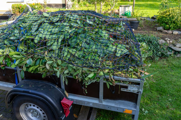 Best Recycling Services for Junk  in El Rancho, NM